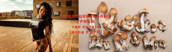 каннабис Инта