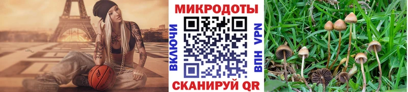 Купить закладки  Инта  Псилоцибиновые грибы Psilocybe 